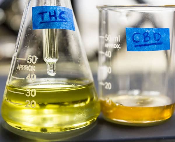 CBD-Dosage-Calculator-img