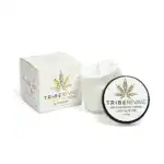 CBD Pain Relief Cream 1,000mg | Arnica + Menthol + Wintergreen