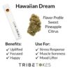 Hawaiian Dream (Sativa) CBD Disposable Vape Pen (1.0 mL)