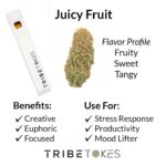Juicy Fruit (Hybrid) CBD Disposable Vape Pen (1.0 mL)