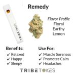 Remedy (Indica) CBD Disposable Vape Pen (1.0 mL)