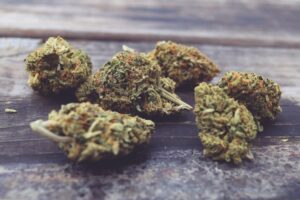 What CBD Strain Is Best For Anxiety?