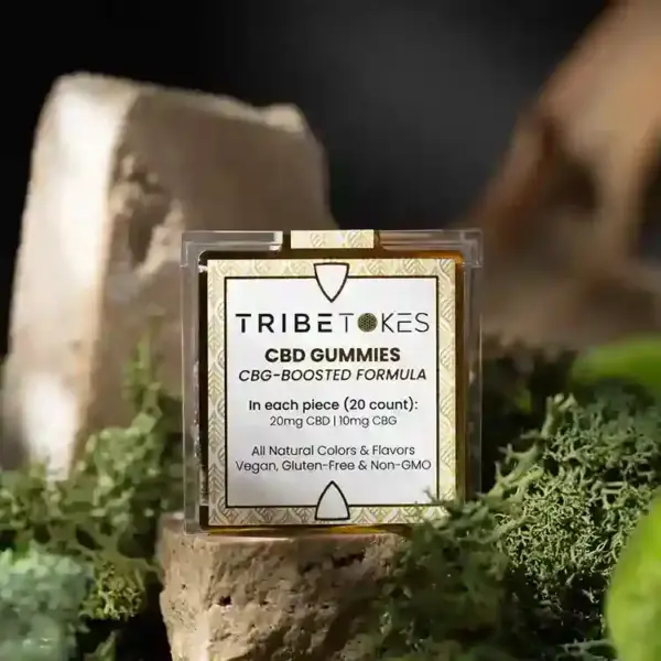 CBD Wellness Gummies | CBG-Boosted, THC-Free - TribeTokes
