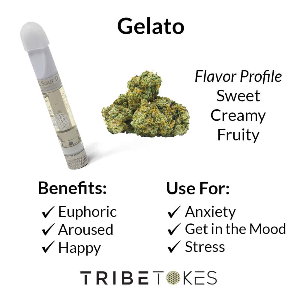 Gelato Strain Profile by TribeTokes