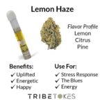 Lemon Haze (Sativa) | Live Resin CBD Vape Carts | Full Spectrum