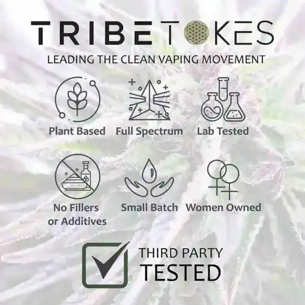 Tribetokes Who We Are Option 4 Scaled by TribeTokes