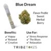 Blue Dream (Hybrid) 1:1 Ratio Vape Cart | Half CBD, Half D8 THC