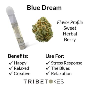 Blue Dream Strain Profile by TribeTokes