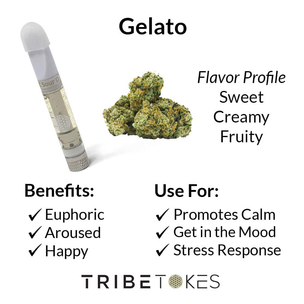 Gelato Strain Profile by TribeTokes