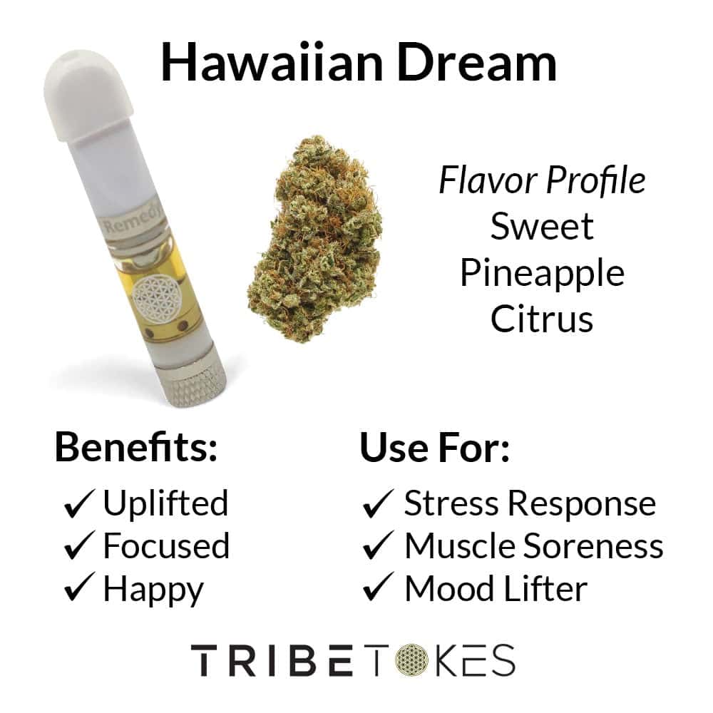 Hawaiian Dream Strain Profile by TribeTokes