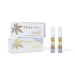 Save $20: You Pick 2 HHC Vape Cartridges | 1g
