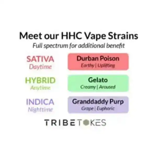 TribeTokes Delta 8 Pain Relief Cream