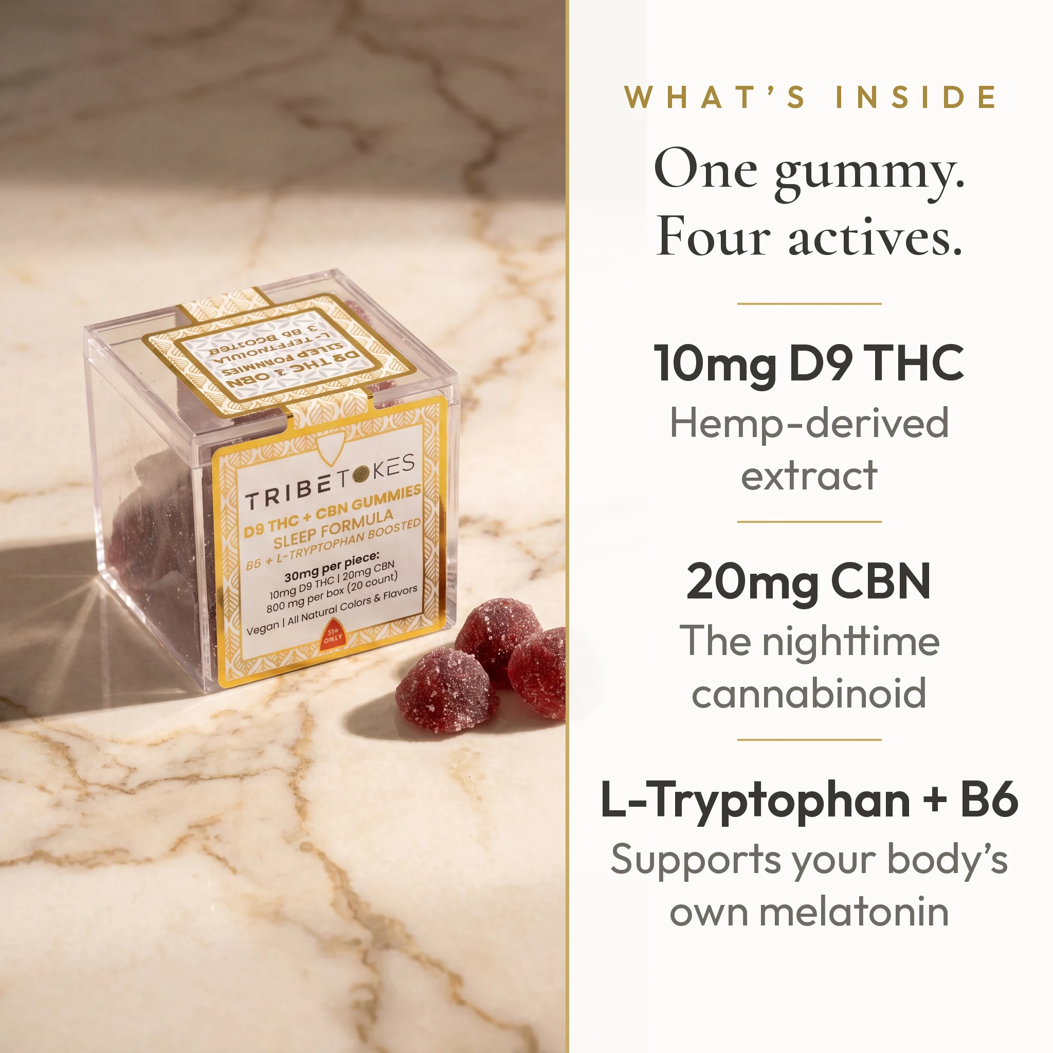 What's Inside chart for TribeTokes Sleep Mixed Berry gummies: one gummy, four actives, with 10mg Delta 9 THC, 20mg CBN, plus L-Tryptophan and B6 for the body's own melatonin support