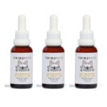 3-Pack: CBD Pet Tincture | 300mg CBD + Wild Salmon Oil | Save $20