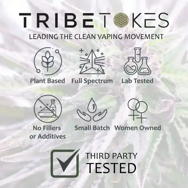 Tribetokes Who We Are Option 4 by TribeTokes