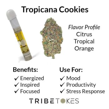 Tropicana Cookies Strain Profile
