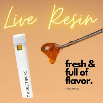 White Widow Live Resin THCa Disposable Pen | TribeTokes