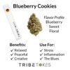 Blueberry Cookies (Indica) Live Resin THCa Disposable Vape Pen