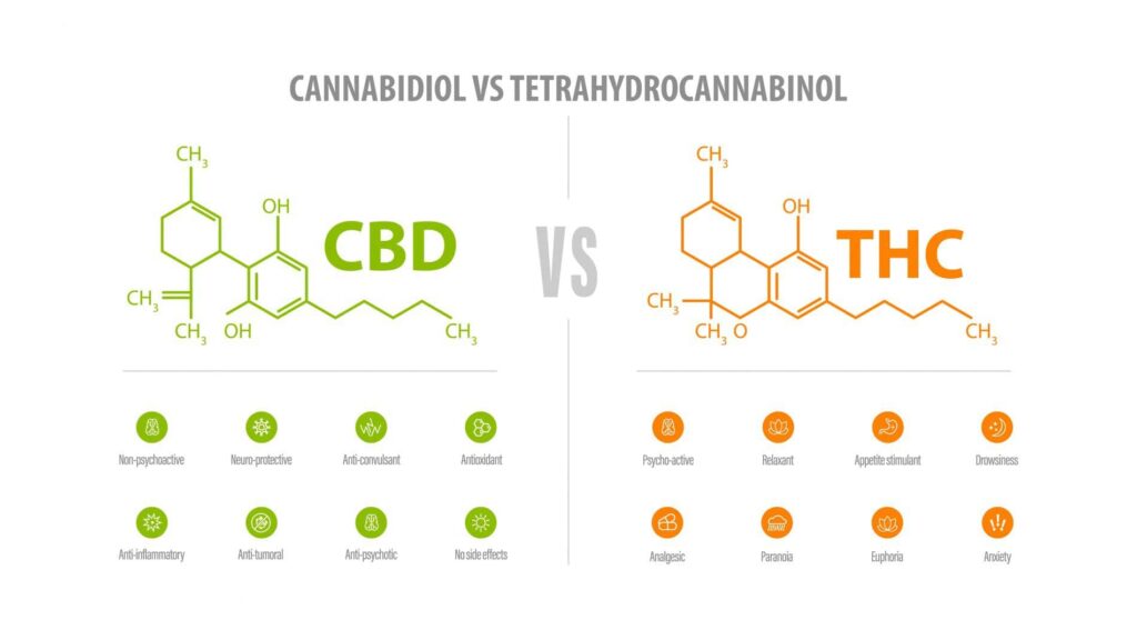 TribeTokes THC Product