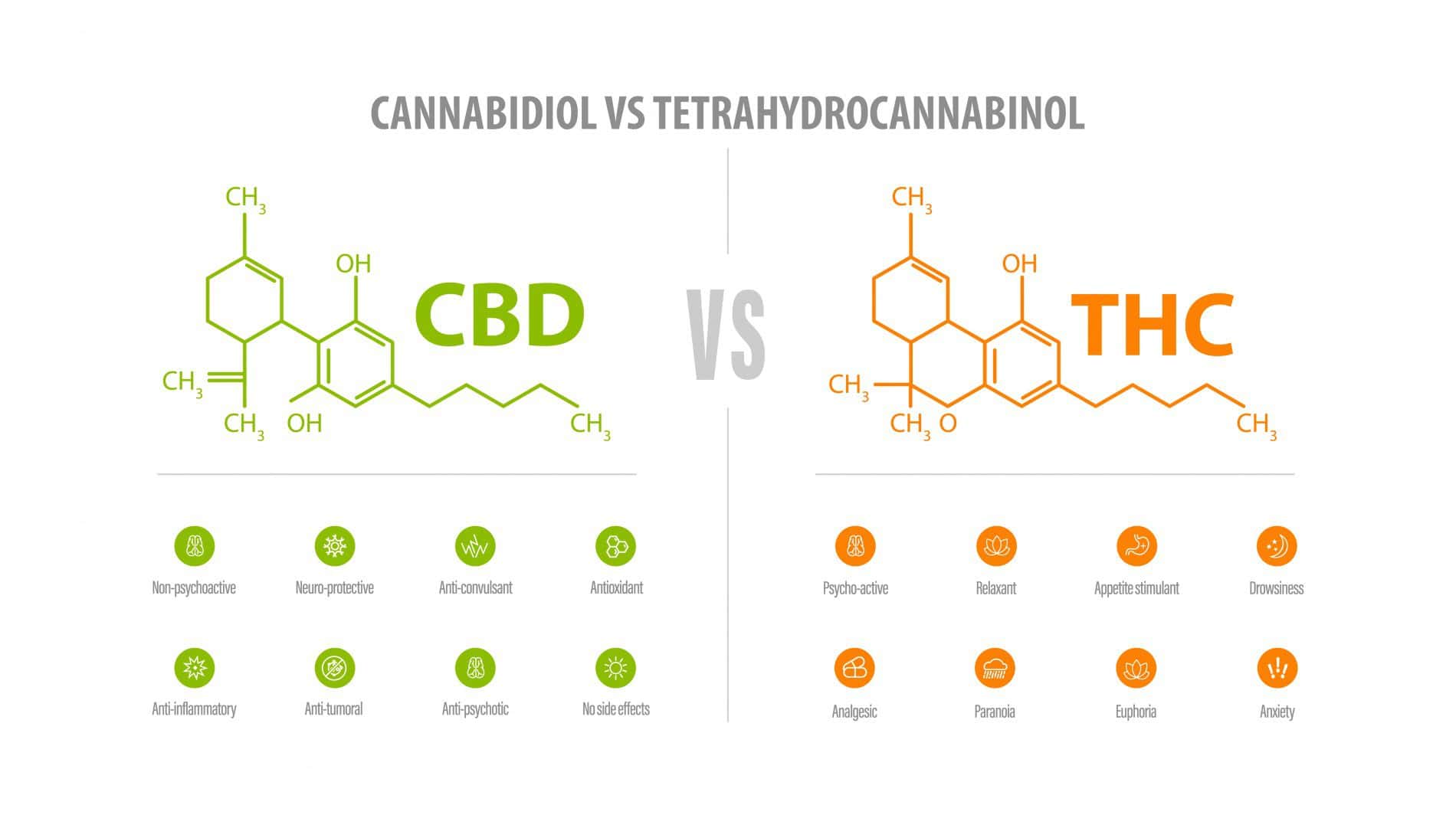 CBD vs THC