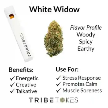 White Widow Dispo Strain Profile