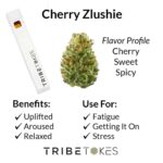 Cherry Zlushie - Hybrid | Live Resin Delta 8 THC Disposable