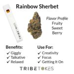 Rainbow Sherbet (Hybrid) Live Resin THCa Disposable Vape