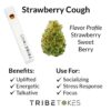 Strawberry Cough - Sativa | Live Resin Delta 8 THC Disposable