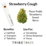 Strawberry Cough - Sativa | Live Resin Delta 8 THC Disposable