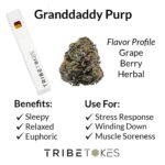 Granddaddy Purp (Indica) Delta 8 THC Disposable Vape (1.0 mL)
