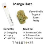 Mango Haze (Sativa) Delta 8 THC Disposable Vape (1.0 mL)