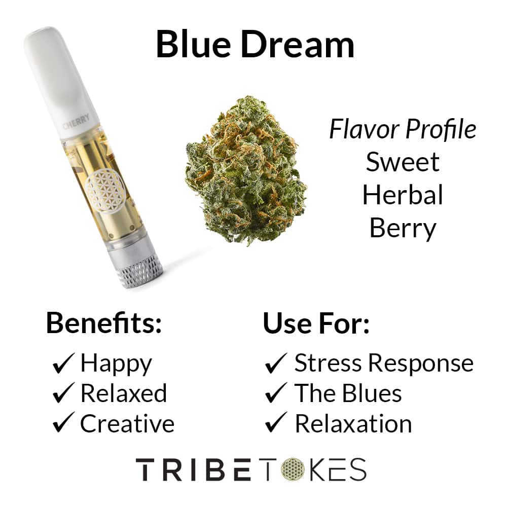 Blue Dream THCA Flower Strain Profile
