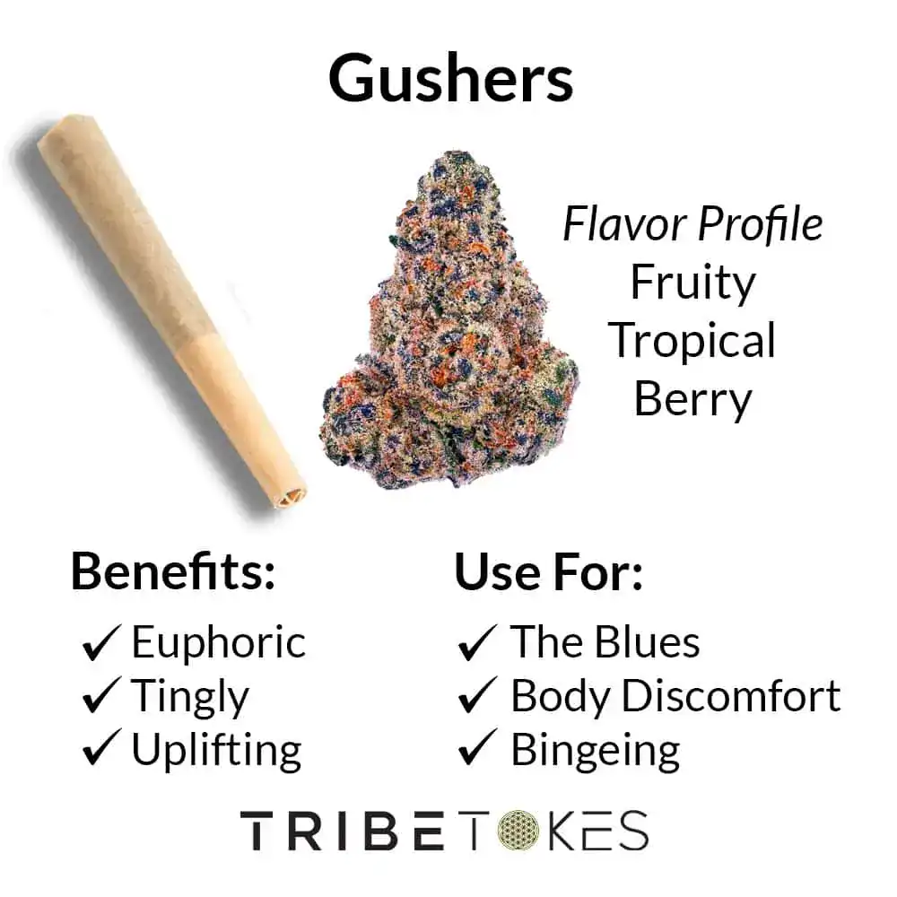 Gushers_FLOWER_Strain-Profile