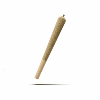 TribeTokes Prerolls