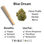Blue Dream THCA Prerolls 5-Pack | Regular (1.0g) or Mini (0.5g)