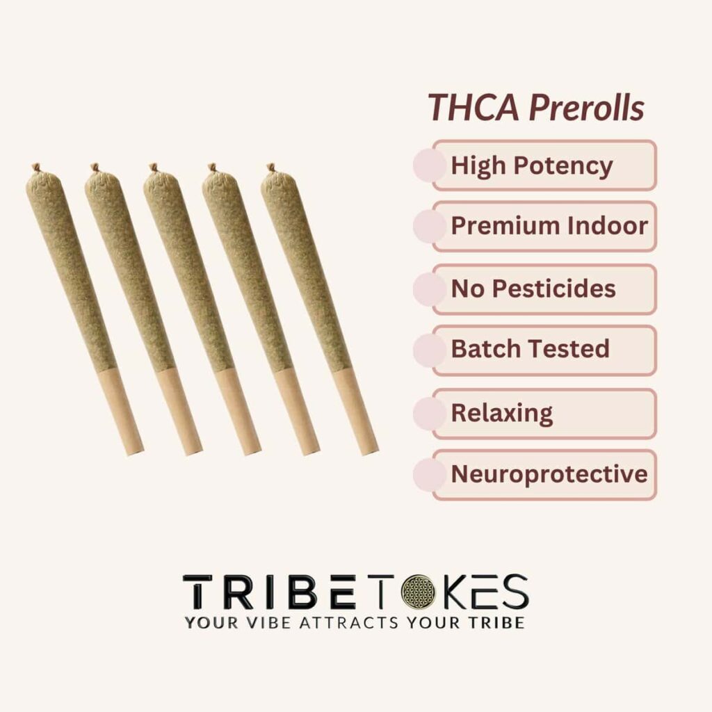 THCA preroll weed TribeTokes THCA preroll weed made from premium cannabis flower; high potency, rich terpenes profile, lab-tested, and smooth-burning.