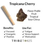 Tropicana Cherry THCA Prerolls 5-Pack | Regular (1.0g) or Mini (0.5g)