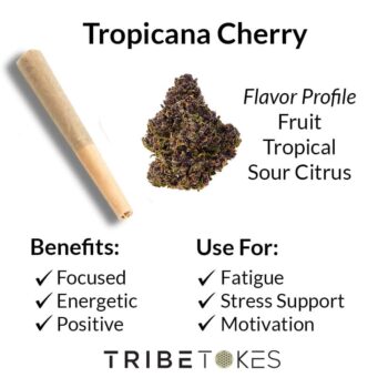 Tropicana Cherry THCA Flower Strain Profile