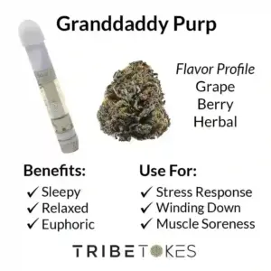 Granddaddy-Purp-Strain-Profile-1