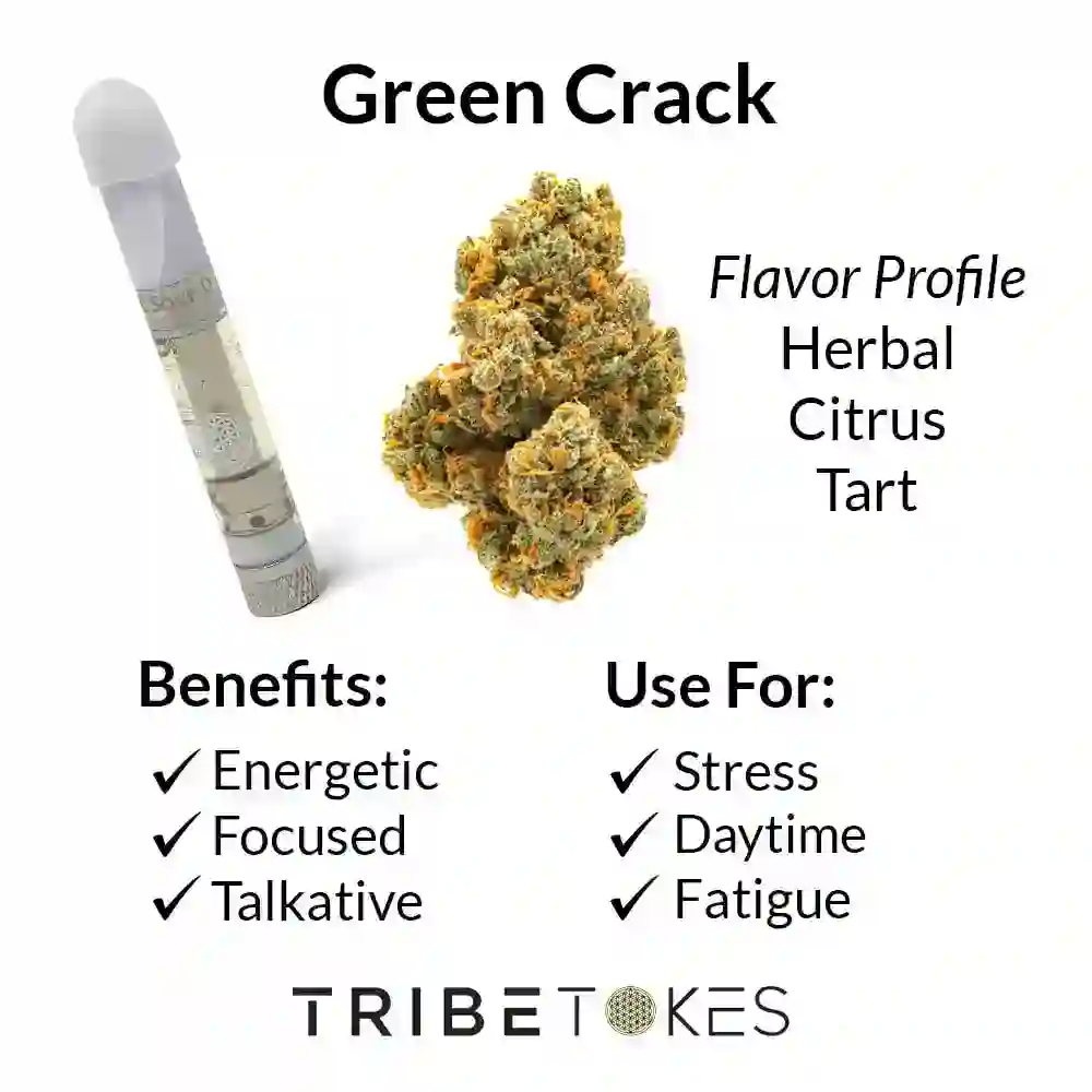 Green-Crack-Strain-Profile