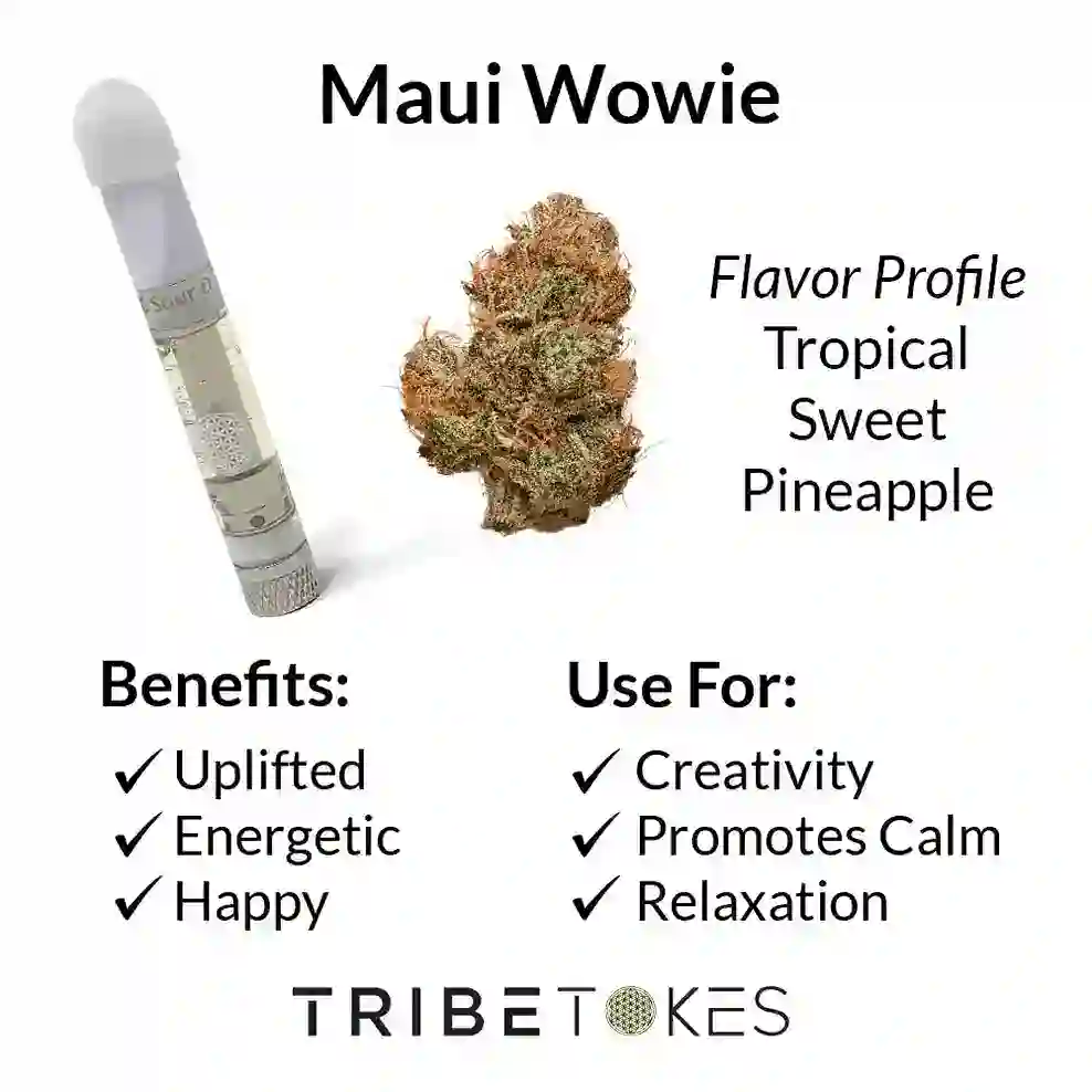 Maui-Wowie-Strain-Profile1_11zon-1
