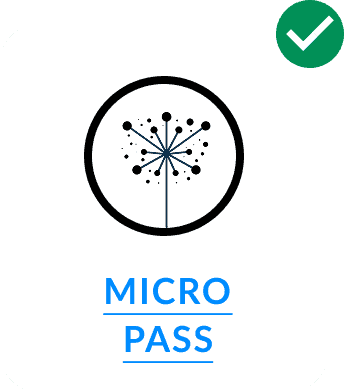 micro-pass