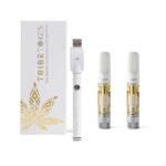 Save $30: Wand Battery + 2 HHC Vape Cartridges