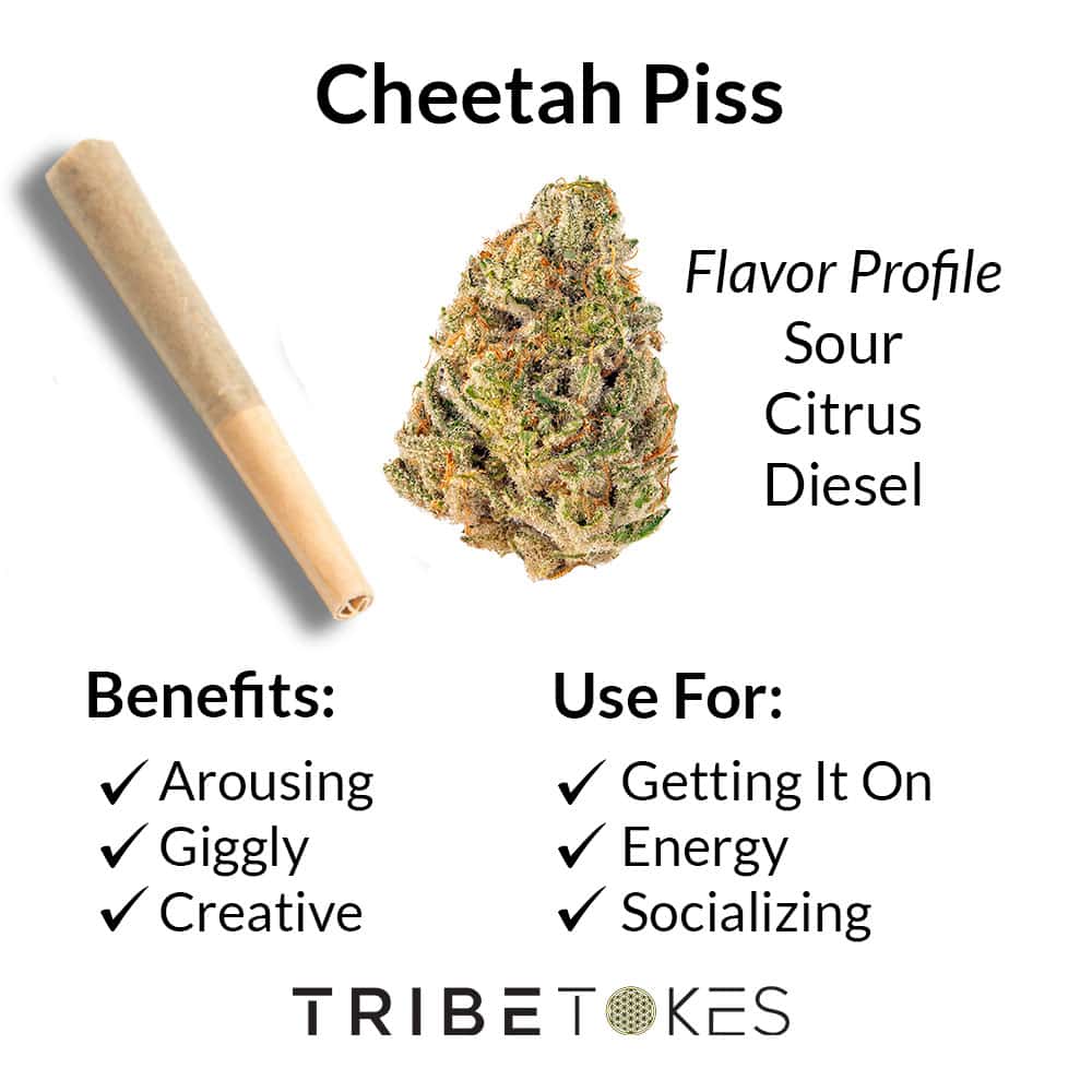 Cannabis Strain Profile by TribeTokes