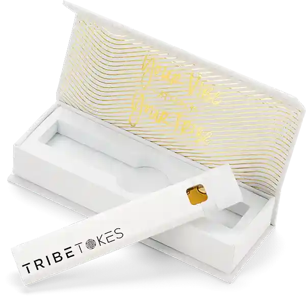 hi-res-6b-TribeTokes_r1_04B_5313