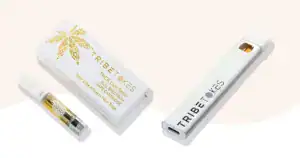 what are geek bar vapes made of Disposable Vapes