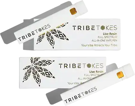 Dispo-No-Cannabinoid-Live-Resin_Hoya_2Pack1