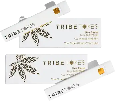 Dispo_No-Cannabinoid-Live-Resin-Hoya_2Pack-removebg-preview1