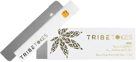 5c65aec8-1-removebg-preview1