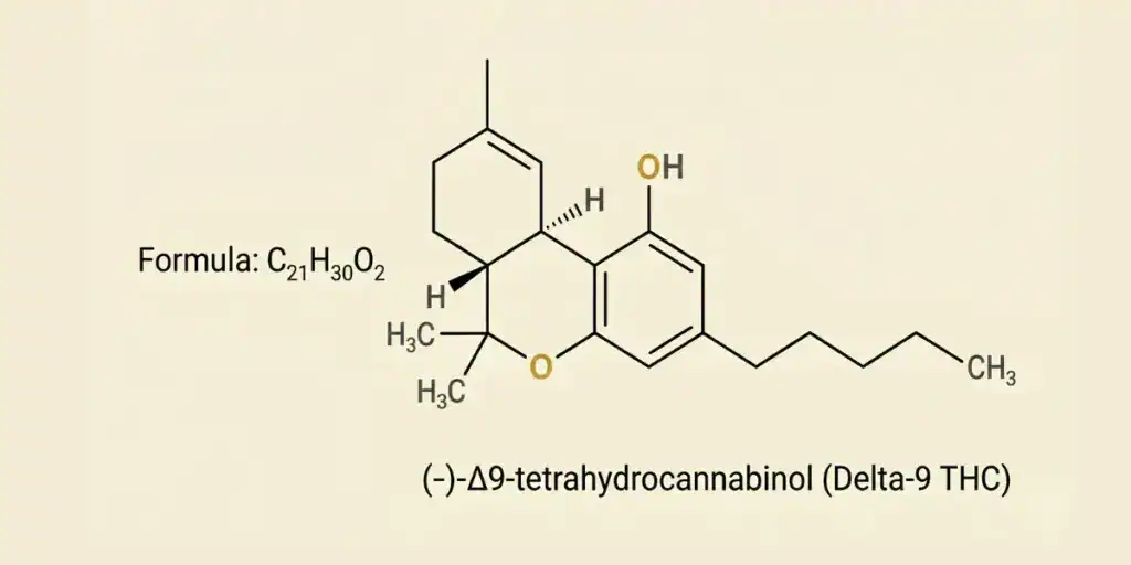Molecular structure diagram of Delta-9 tetrahydrocannabinol (THC), the primary psychoactive cannabinoid in cannabis